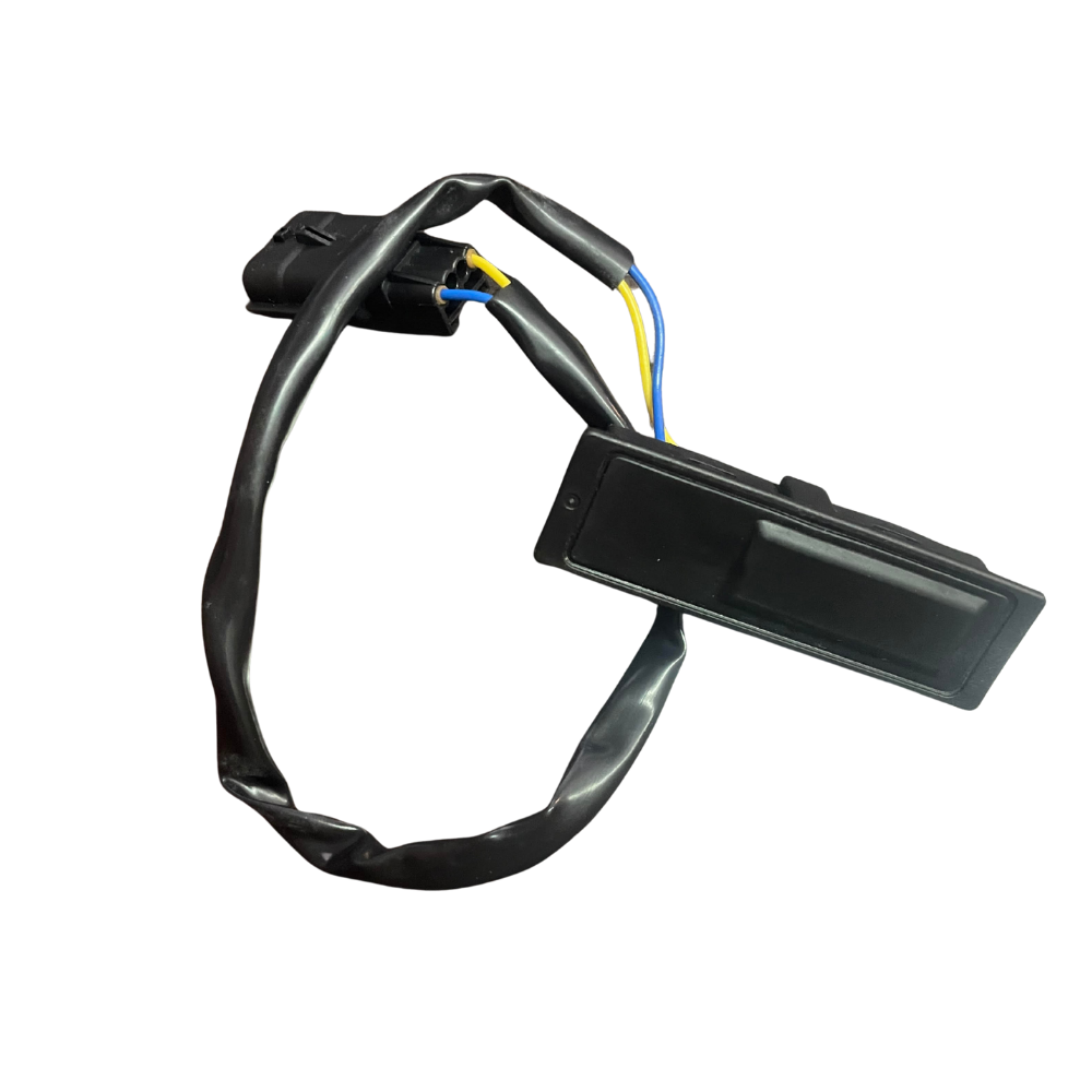 253804EA1A Bagaj Açma Düğmesi Kadjar