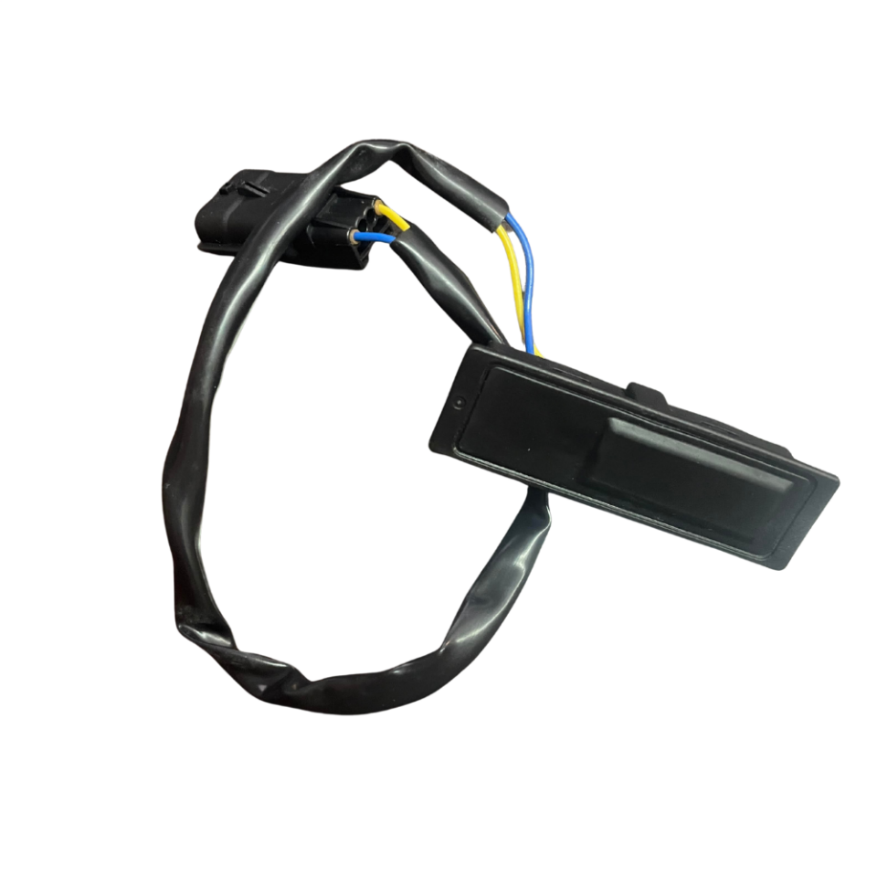 253804EA1A Bagaj Açma Düğmesi Kadjar